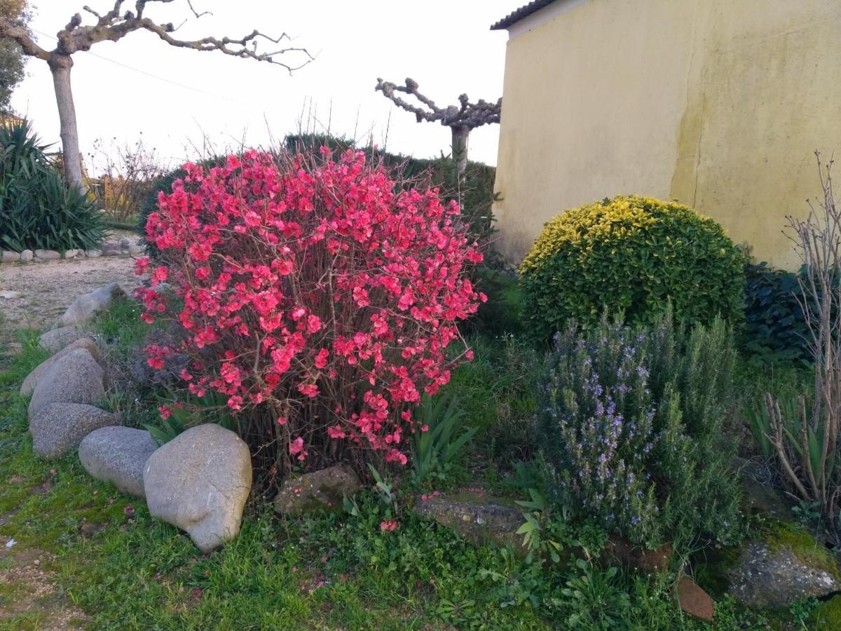 Casa Rural "Can Abres" Vilobi D'Onyar Girona Viloví de Oñar Exteriér fotografie