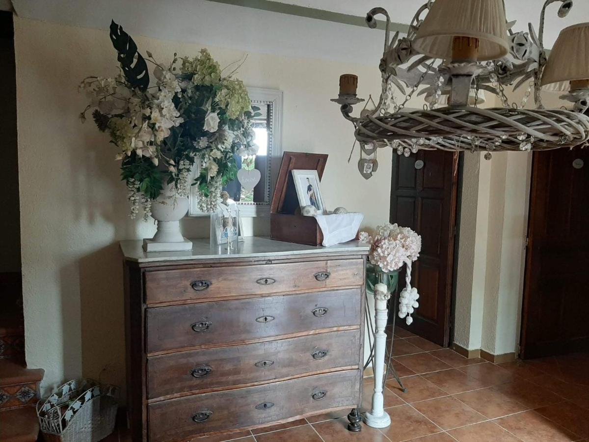 Casa Rural "Can Abres" Vilobi D'Onyar Girona Viloví de Oñar Exteriér fotografie